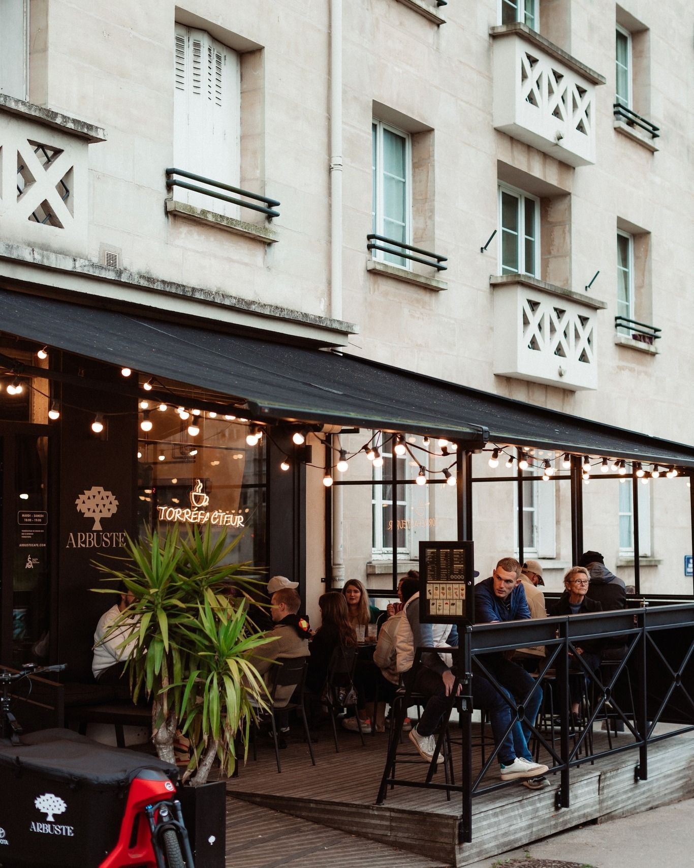 Arbuste café