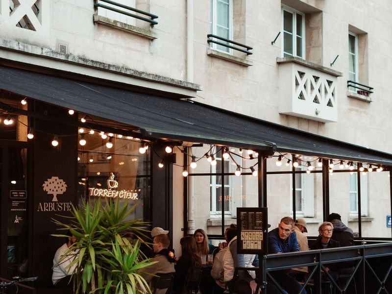 Photo 1 — Arbuste café