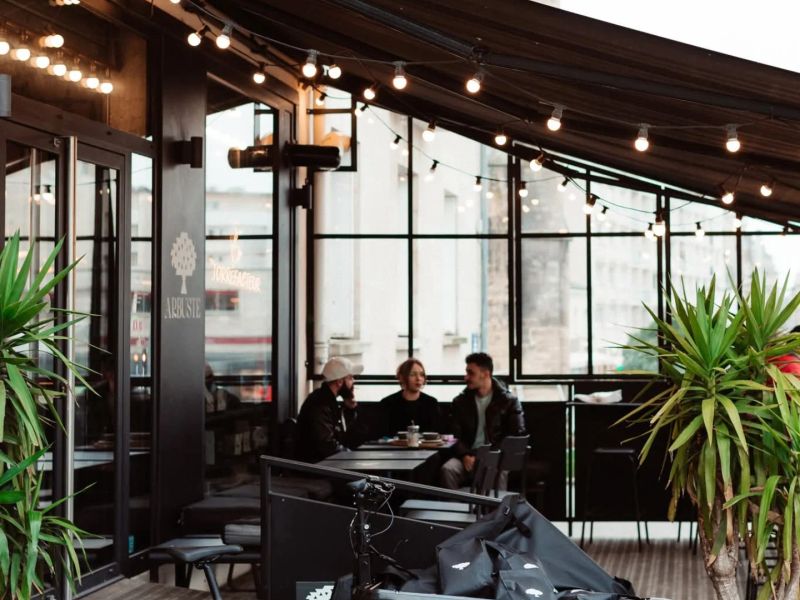 Photo 3 — Arbuste café