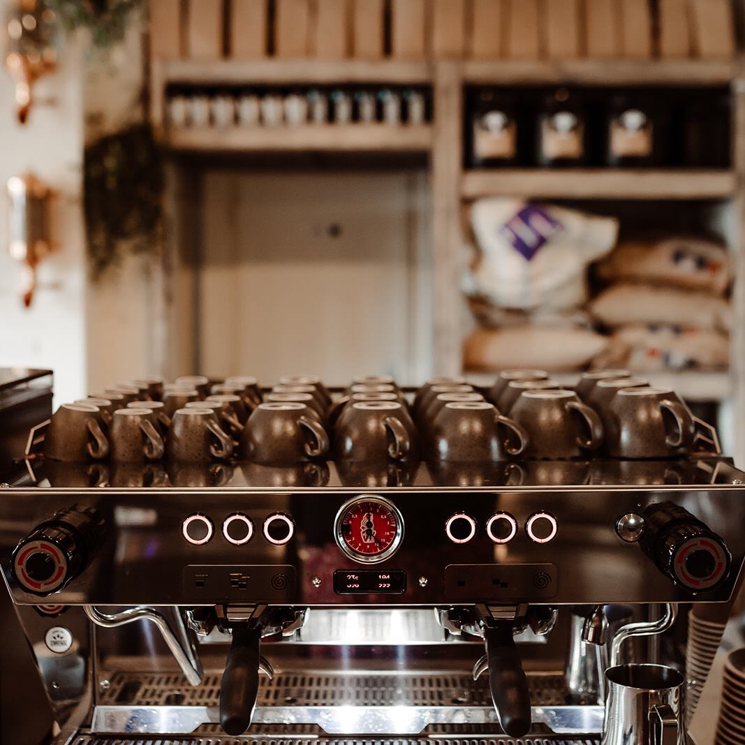 Arbuste café