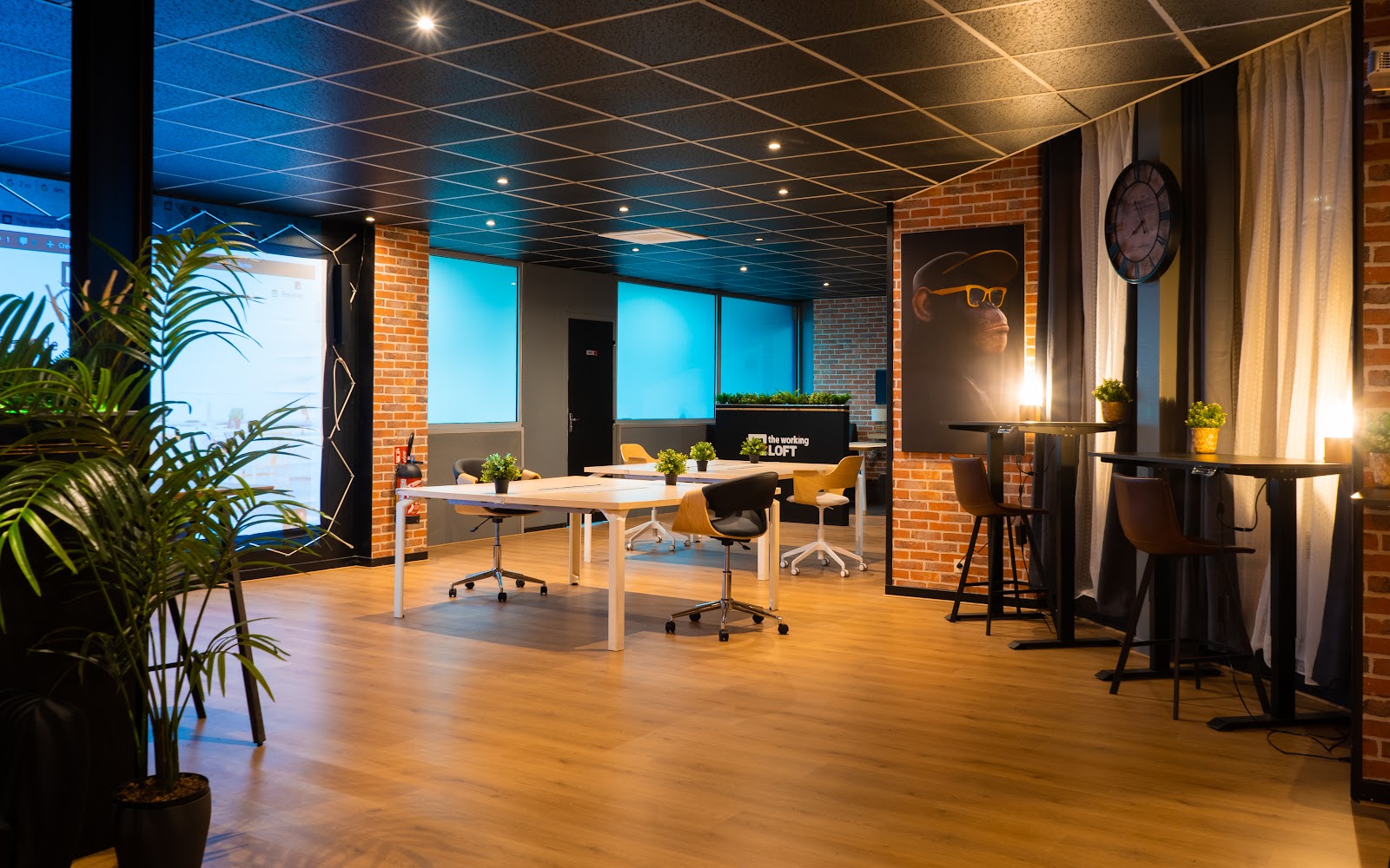 The Working Loft