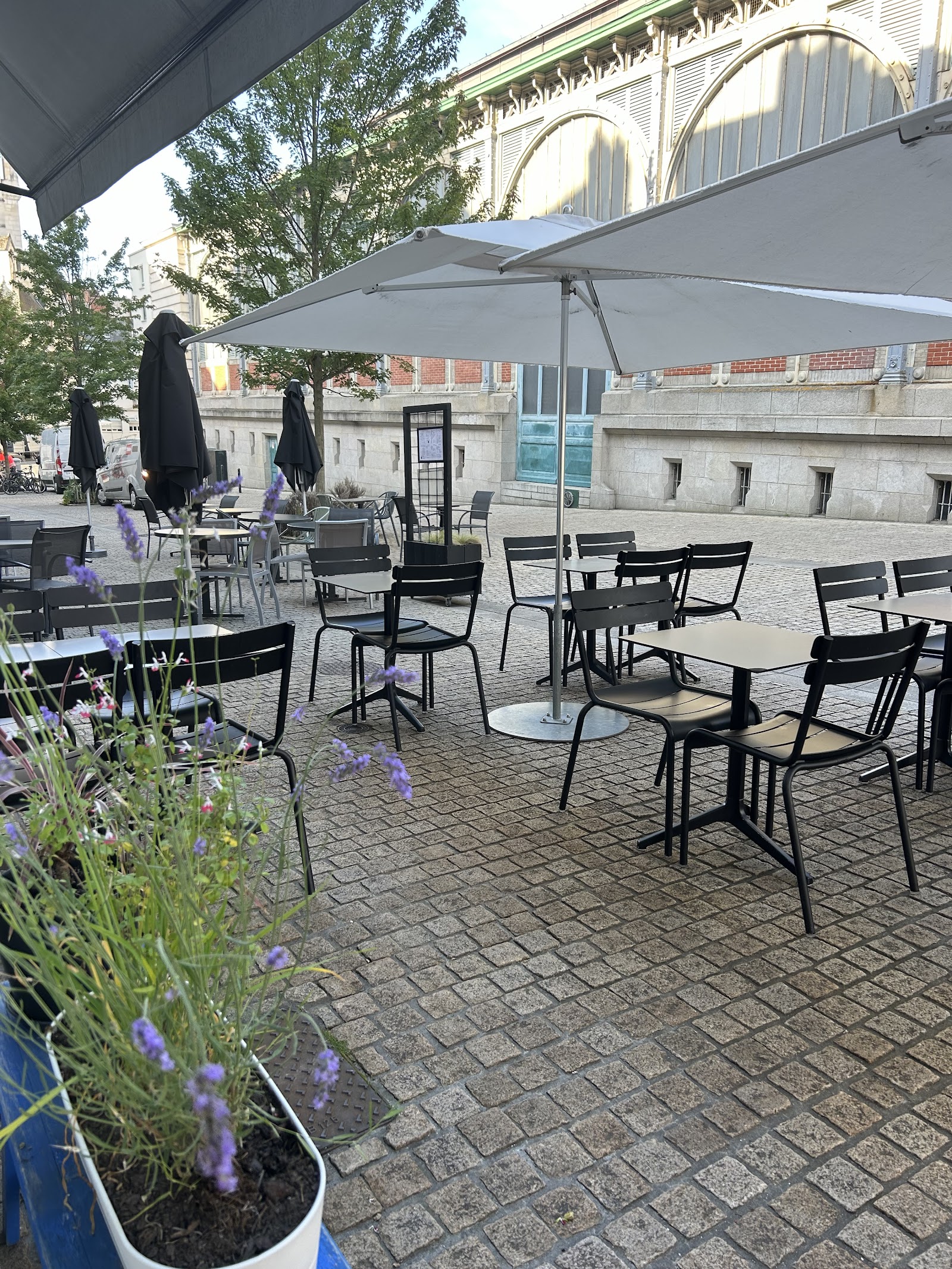 GLAZ Café