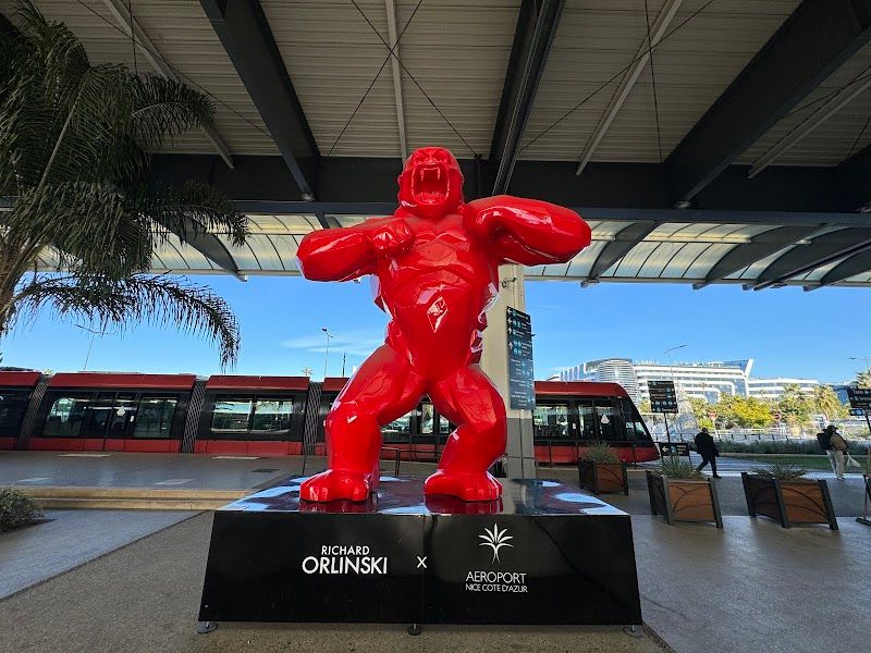 HQ - Nice, Aéroport Arénas