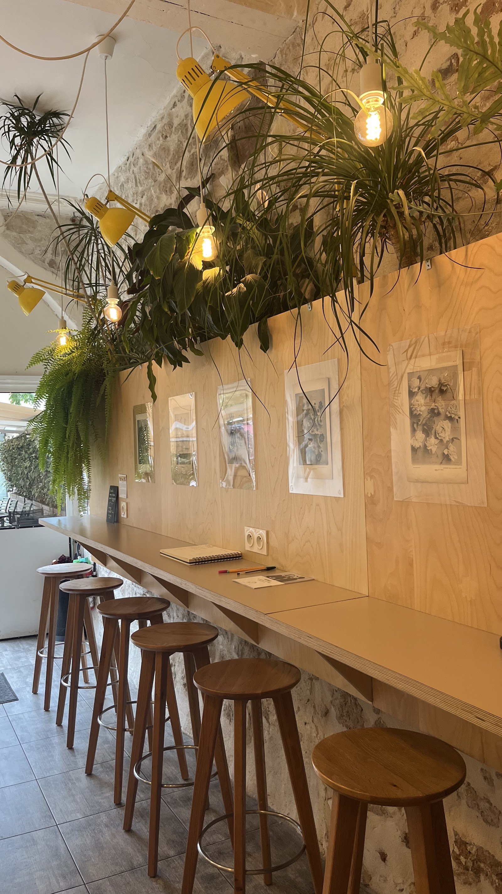 Solo Palma Coffee House