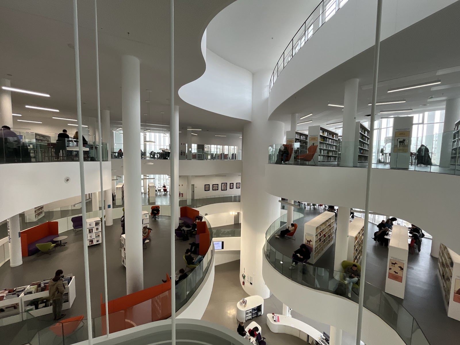 Le Studium