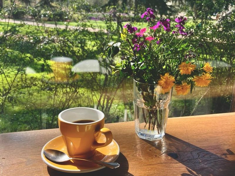 Photo 3 — El Cafecito